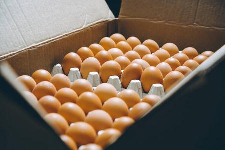 鸡蛋厂工厂农业家禽养鸡场照片